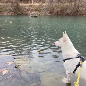 Meet your Posher, Sukanya